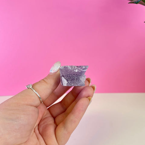 Bicoloured Kunzite