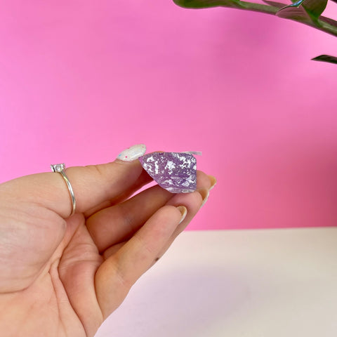 Bicoloured Kunzite