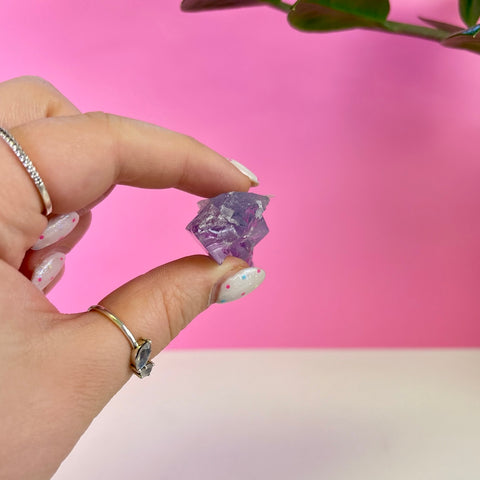 Bicoloured Kunzite