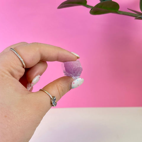 Bicoloured Kunzite