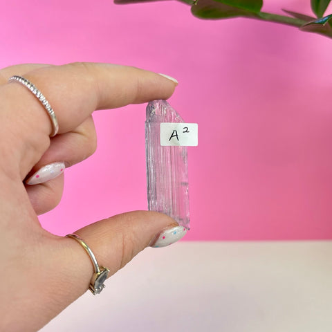 Bicoloured Kunzite