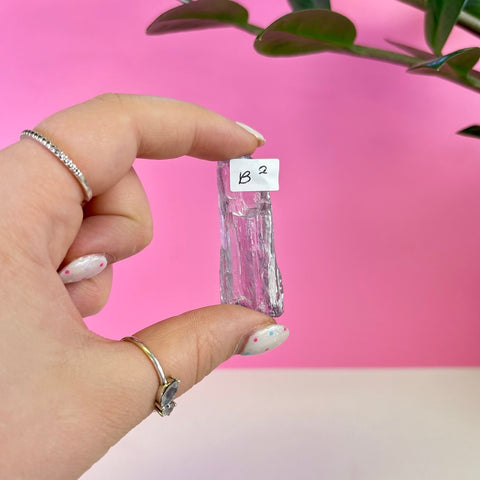 Bicoloured Kunzite