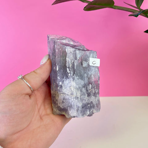 Bicoloured Kunzite