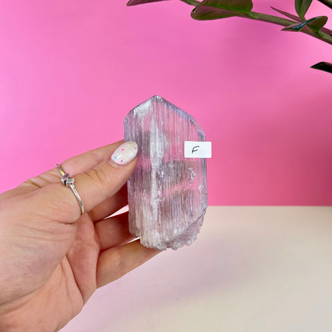 Bicoloured Kunzite