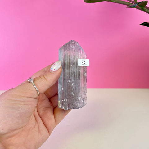 Bicoloured Kunzite