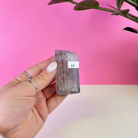 Bicoloured Kunzite