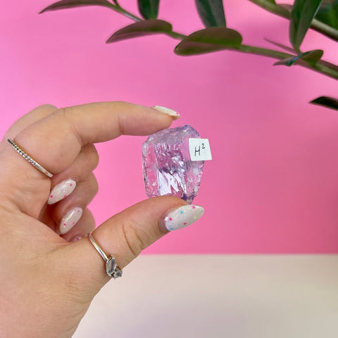 Bicoloured Kunzite