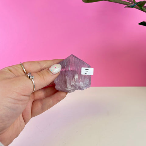 Bicoloured Kunzite