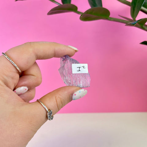 Bicoloured Kunzite