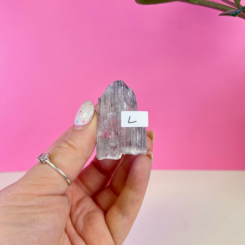 Bicoloured Kunzite