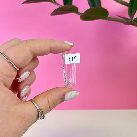 Bicoloured Kunzite