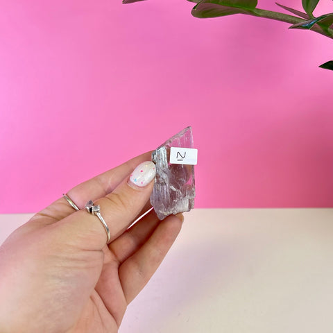 Bicoloured Kunzite