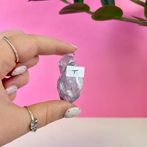 Bicoloured Kunzite