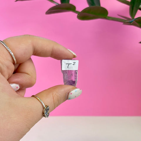 Bicoloured Kunzite