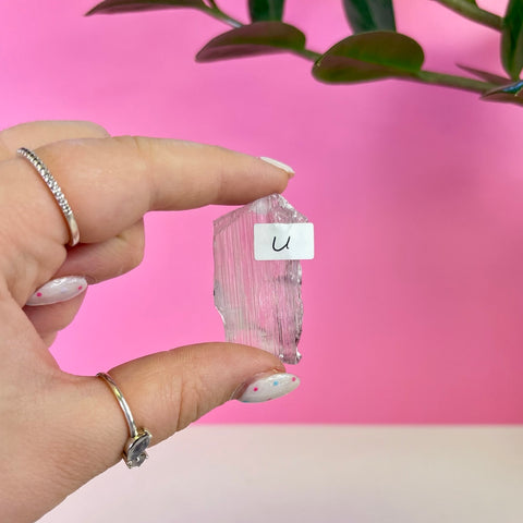 Bicoloured Kunzite