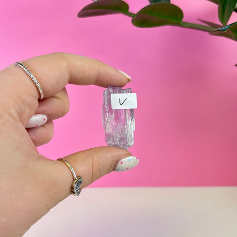 Bicoloured Kunzite