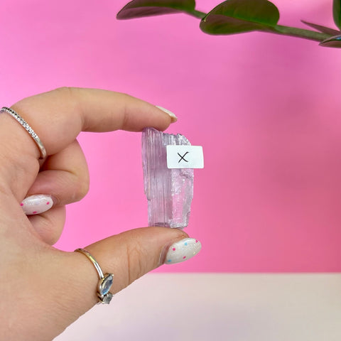 Bicoloured Kunzite