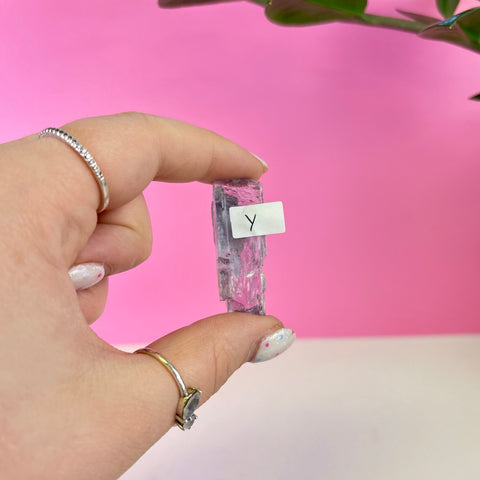 Bicoloured Kunzite