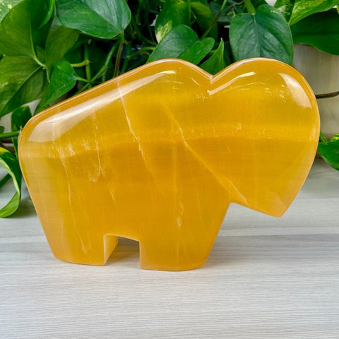 Big Bert The Bison 1 - Kenna's Crystals from TikTok