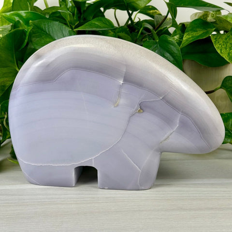 Lavender fluorite bear carving with natural white banding, against green foliage.