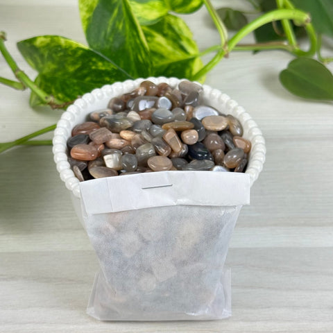 Black Moonstone Chips (100g) 2 - Kenna's Crystals from TikTok