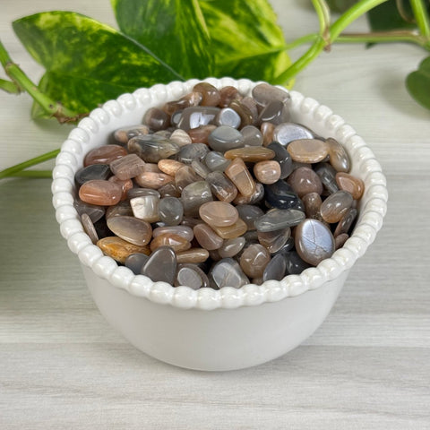 Black Moonstone Chips (100g) 1 - Kenna's Crystals from TikTok