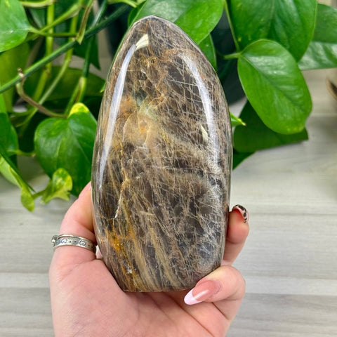 Black Moonstone Free Form 66 2 - Kenna's Crystals from TikTok