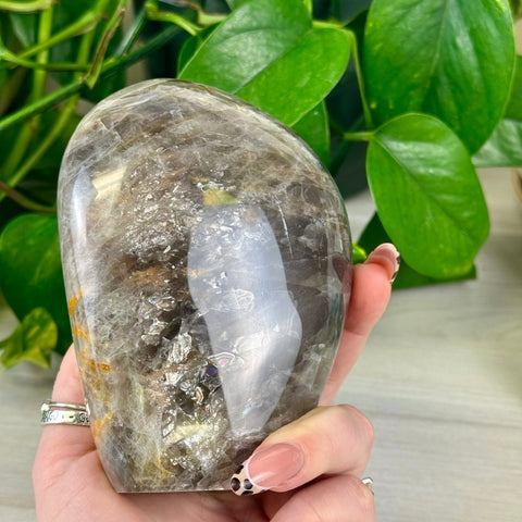 Black Moonstone Free Form 77 4 - Kenna's Crystals from TikTok