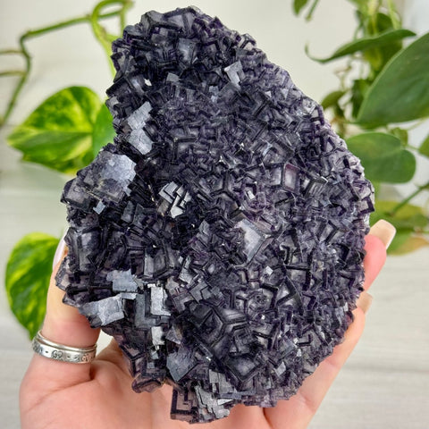 Black Warrior Fluorite 1090 3 - Kenna's Crystals from TikTok