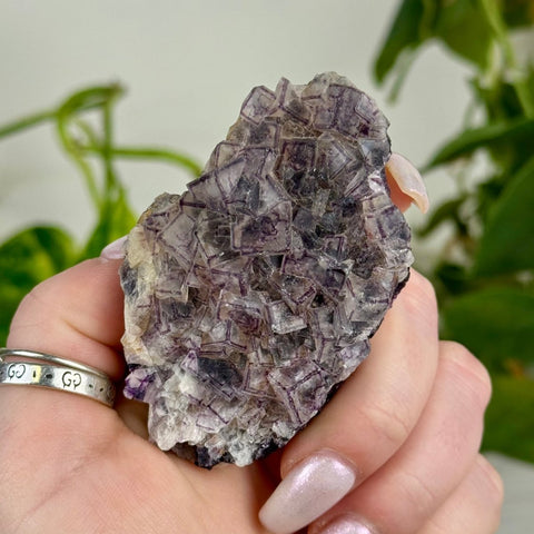 Black Warrior Fluorite 160 12 - Kenna's Crystals from TikTok