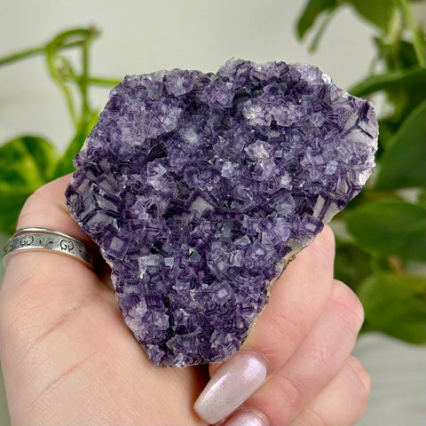 Black Warrior Fluorite 265 11 - Kenna's Crystals from TikTok