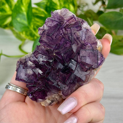 Black Warrior Fluorite 460 (QR Code Fluorite) 10 - Kenna's Crystals from TikTok
