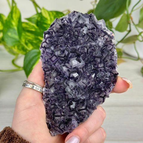 Black Warrior Fluorite 540 9 - Kenna's Crystals from TikTok