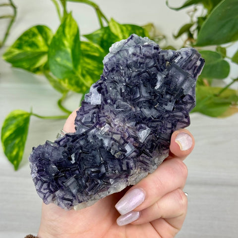 Black Warrior Fluorite 555 8 - Kenna's Crystals from TikTok