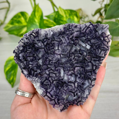 Black Warrior Fluorite 580 7 - Kenna's Crystals from TikTok