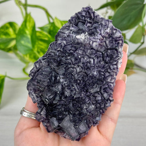 Black Warrior Fluorite 670 6 - Kenna's Crystals from TikTok