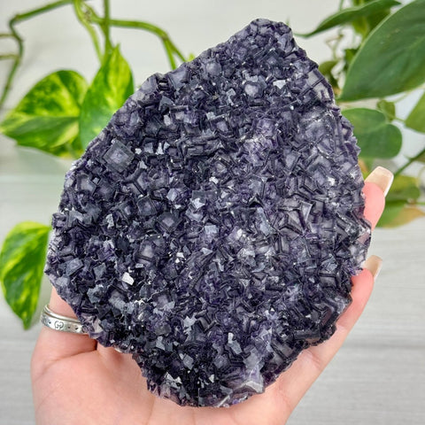 Black Warrior Fluorite 870 5 - Kenna's Crystals from TikTok