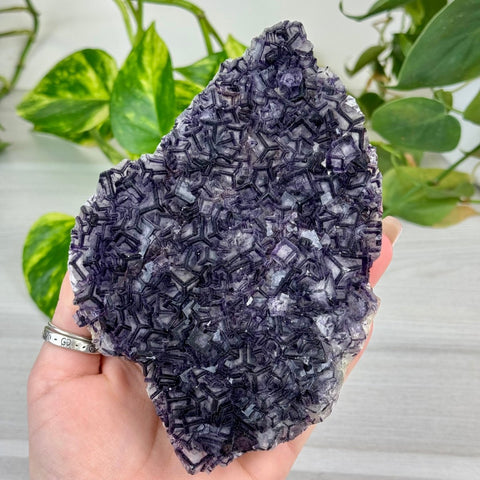 Black Warrior Fluorite 920 4 - Kenna's Crystals from TikTok
