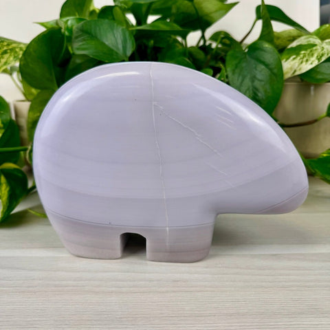Smooth lavender fluorite Blair The Bear carving with subtle white striations, against green plants.