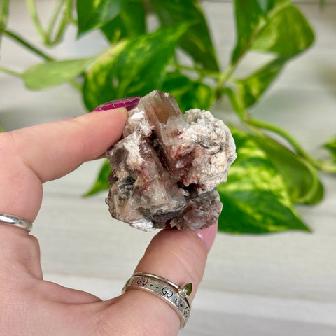 Bleeding Heart Apophyllite A2 27 - Kenna's Crystals from TikTok