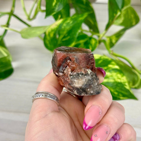 Bleeding Heart Apophyllite B2 28 - Kenna's Crystals from TikTok