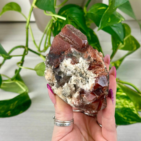 Bleeding Heart Apophyllite C 3 - Kenna's Crystals from TikTok