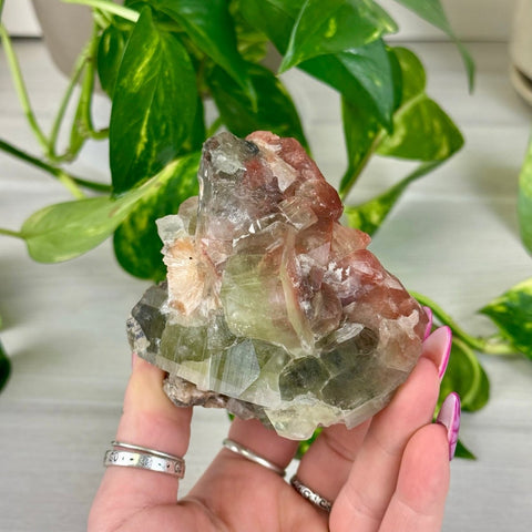 Bleeding Heart Apophyllite D 4 - Kenna's Crystals from TikTok