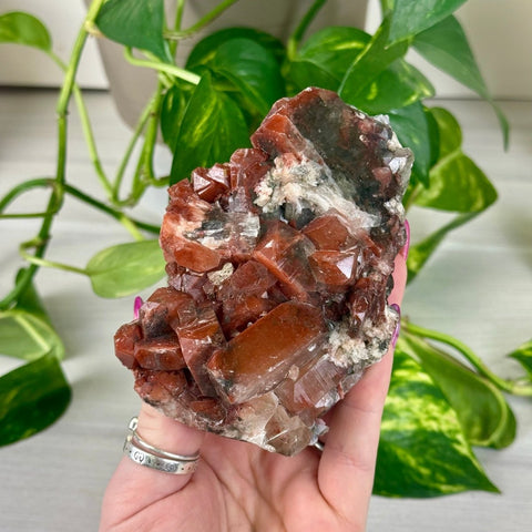 Bleeding Heart Apophyllite F 6 - Kenna's Crystals from TikTok