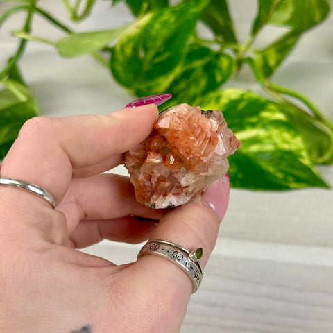 Bleeding Heart Apophyllite F2 32 - Kenna's Crystals from TikTok