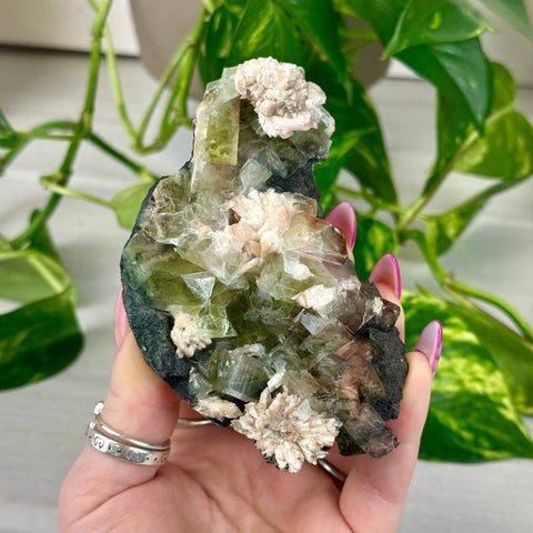 Bleeding Heart Apophyllite H 8 - Kenna's Crystals from TikTok