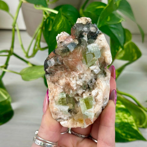 Bleeding Heart Apophyllite I 9 - Kenna's Crystals from TikTok