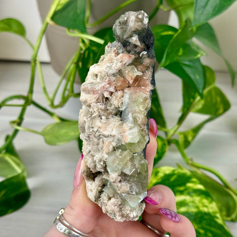 Bleeding Heart Apophyllite J 10 - Kenna's Crystals from TikTok