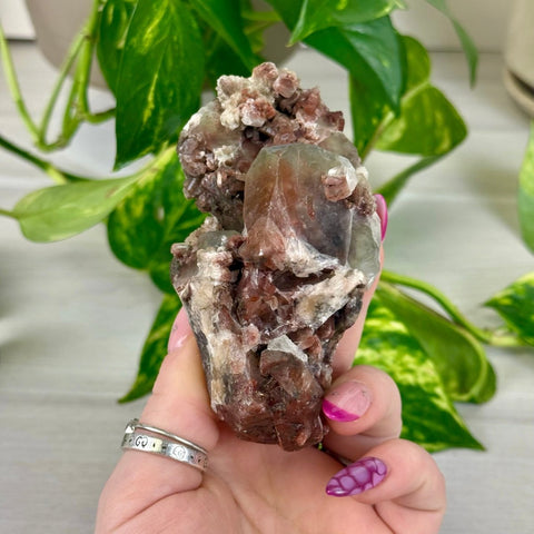 Bleeding Heart Apophyllite K 11 - Kenna's Crystals from TikTok