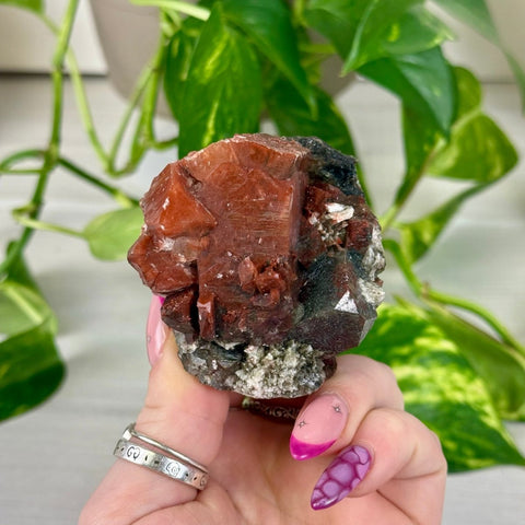 Bleeding Heart Apophyllite L 12 - Kenna's Crystals from TikTok